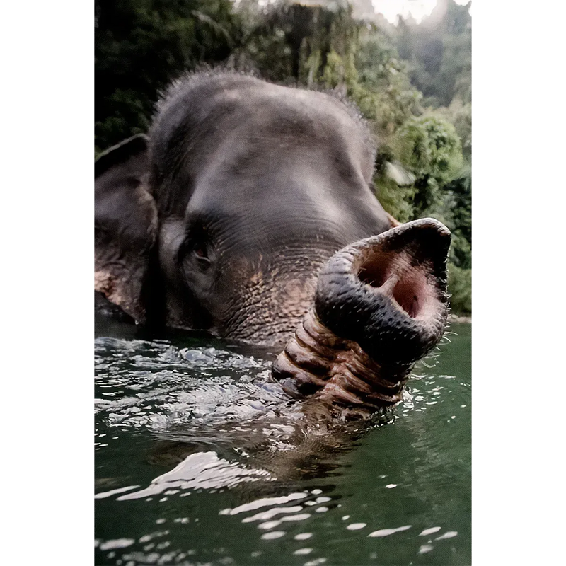 Snorkelling