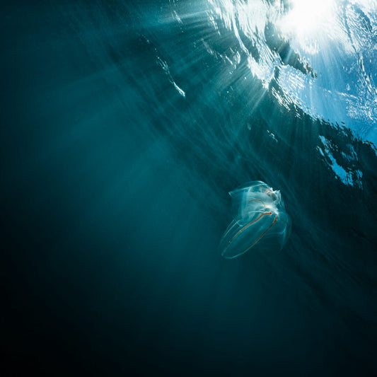 Inhale & Exhale ~ Above & Below