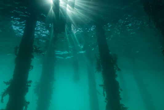 Salt Water ~ The Ocean Is 3% Salt
