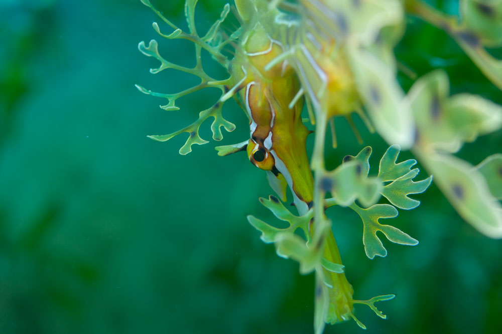 Nature Below ~ Art Above