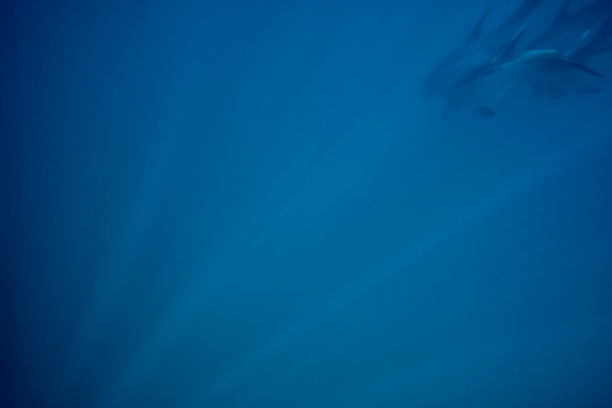 Slipstream