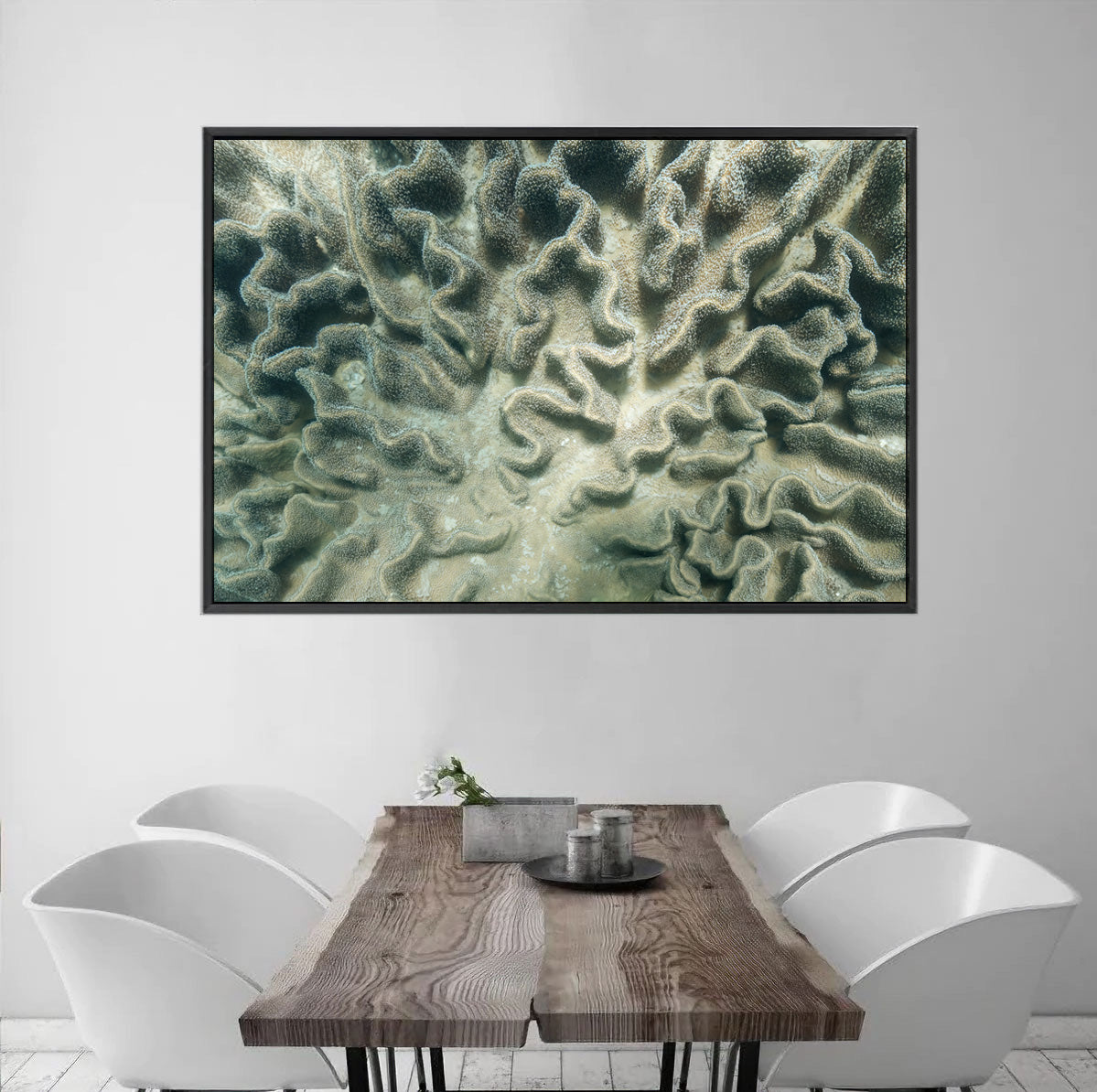 Coral Cartography