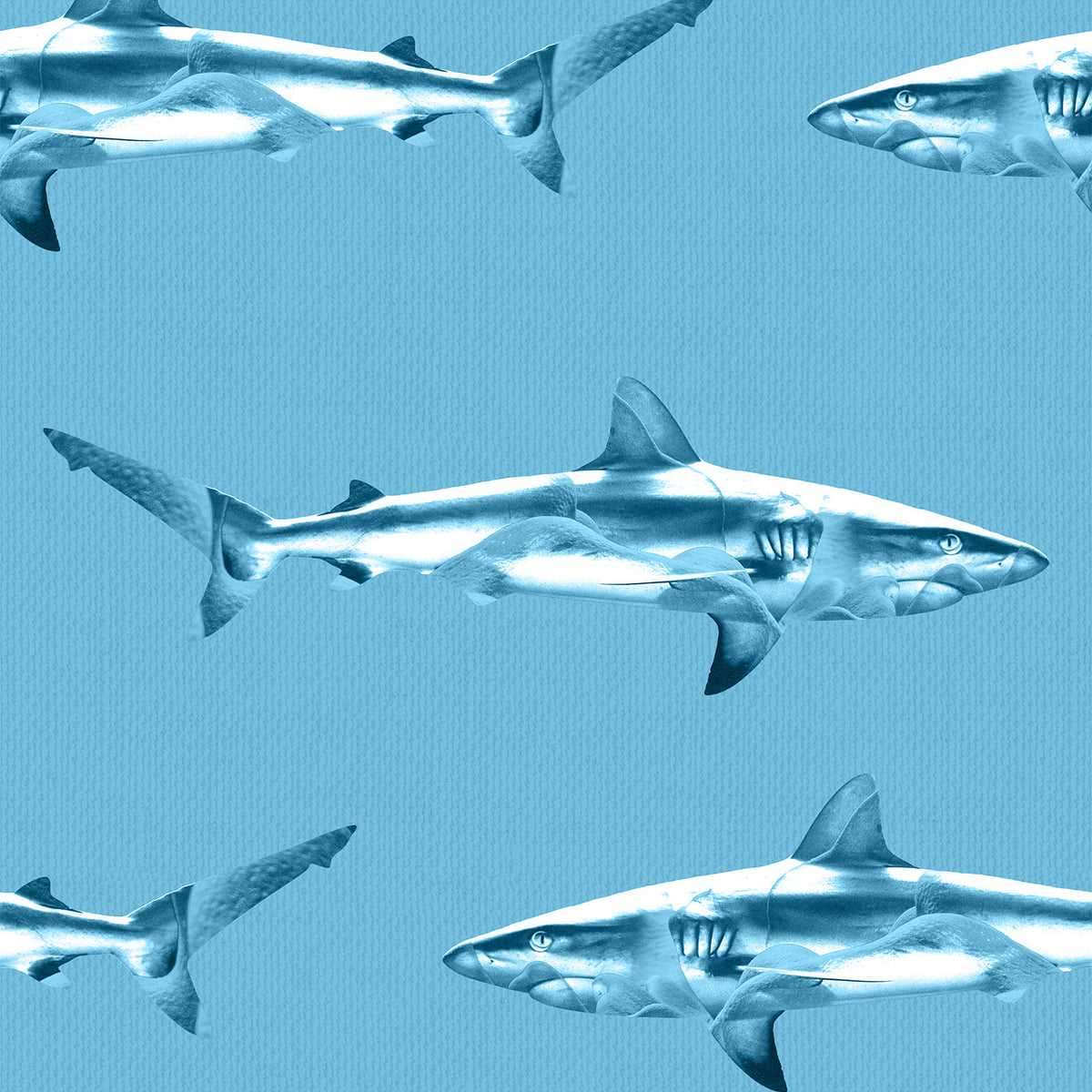 Pelagic Rhythm