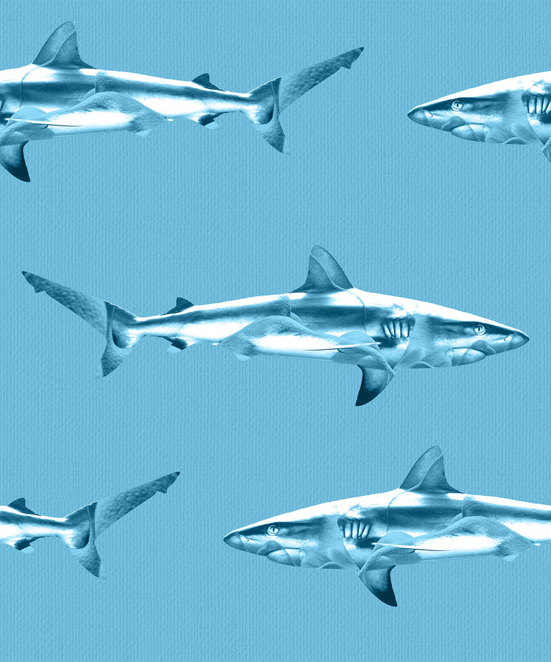 Pelagic Rhythm