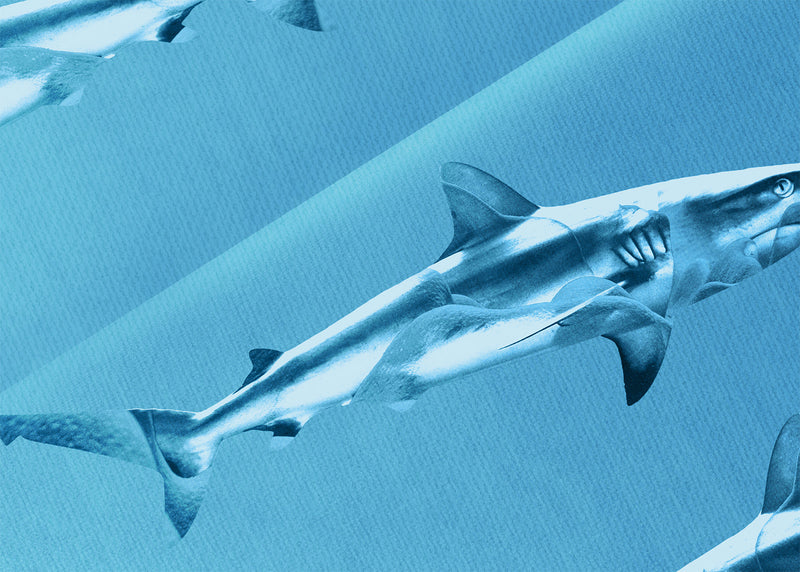 Pelagic Rhythm