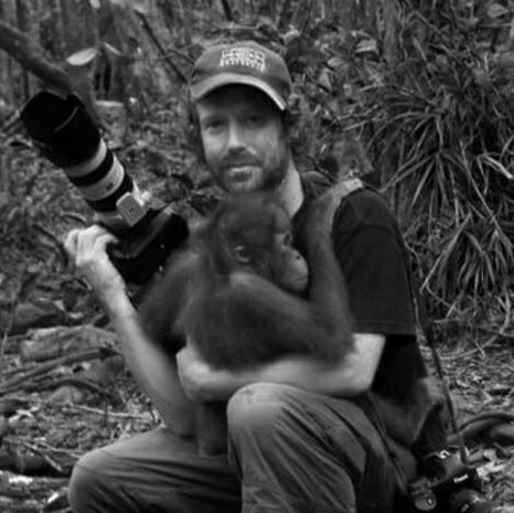 Image with text section