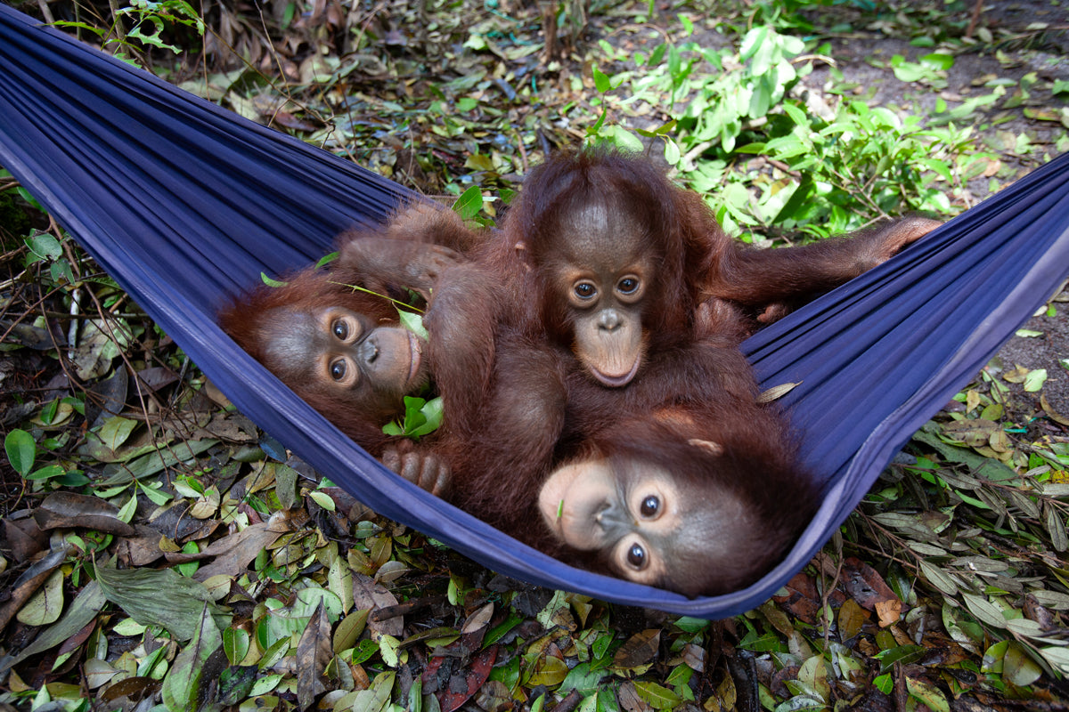 Hanging Out