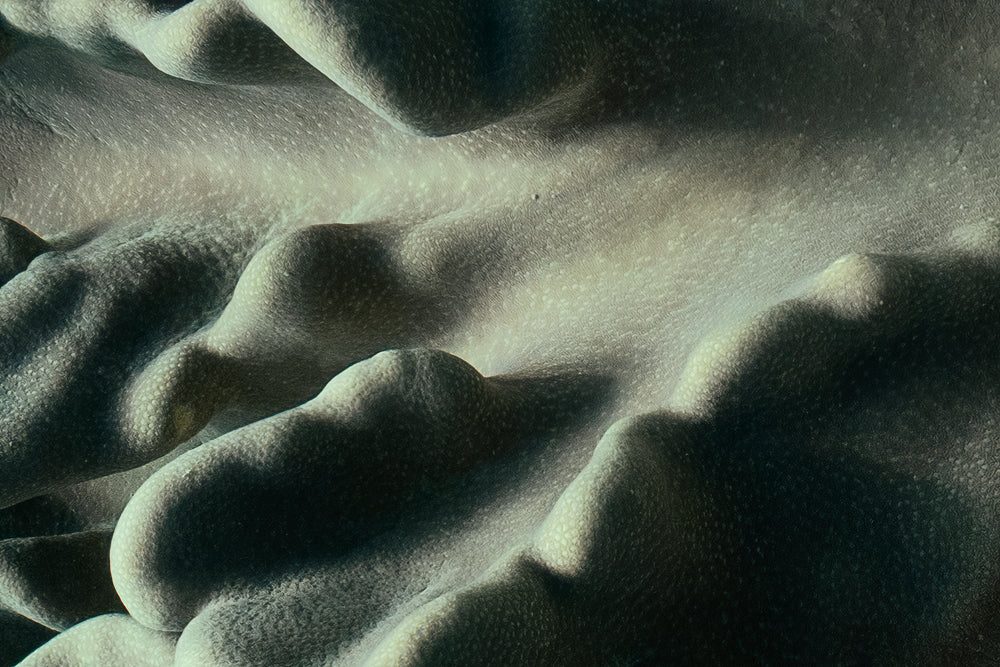 Soft Ridge