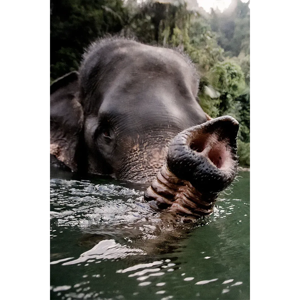 Snorkelling