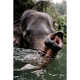Snorkelling