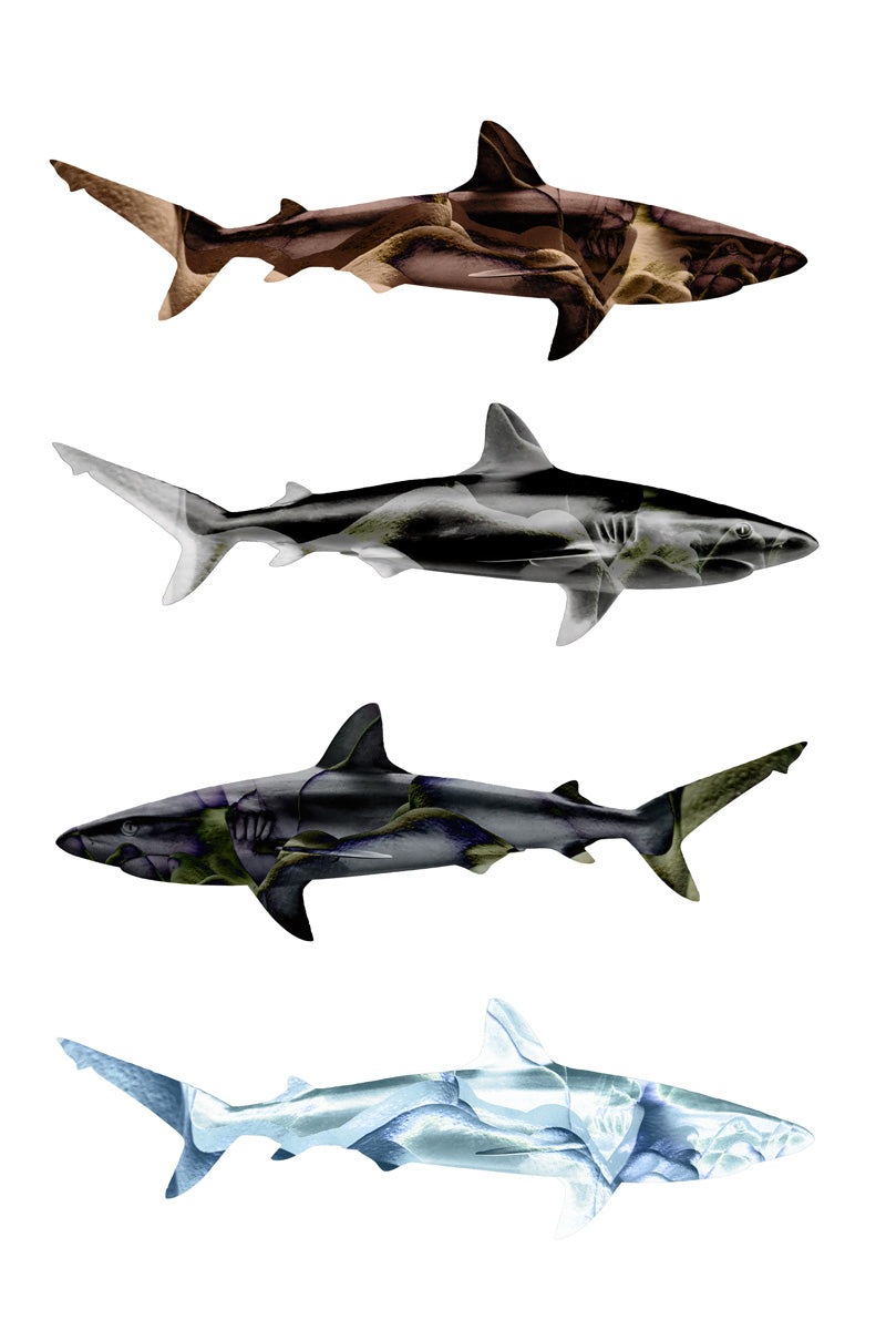 Sharks
