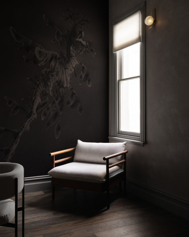 Leafy Sea Dragon ~ Phycodurus Eques ~ Figure 3