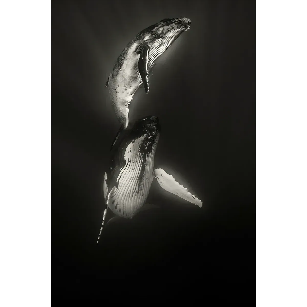 Synchronicity