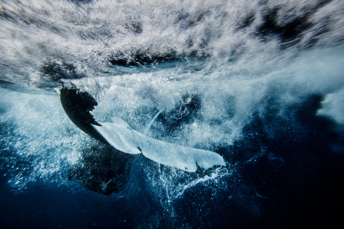 Tail Splash